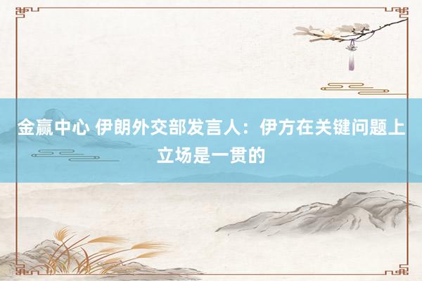金赢中心 伊朗外交部发言人：伊方在关键问题上立场是一贯的
