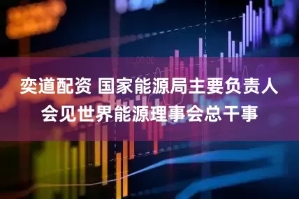 奕道配资 国家能源局主要负责人会见世界能源理事会总干事